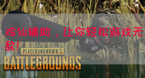 鸡仙辅助，让你轻松游戏无敌！