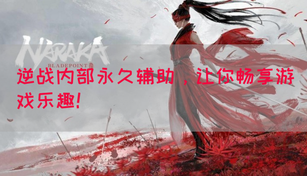 逆战内部永久辅助，让你畅享游戏乐趣！