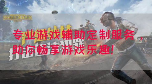 专业游戏辅助定制服务，助你畅享游戏乐趣！