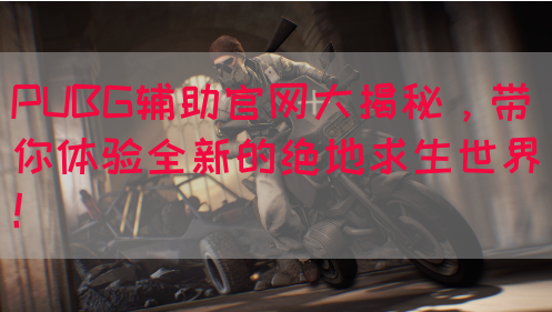 PUBG辅助官网大揭秘，带你体验全新的绝地求生世界！