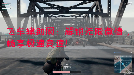 飞车辅助网：解锁无限激情，畅享极速竞速！