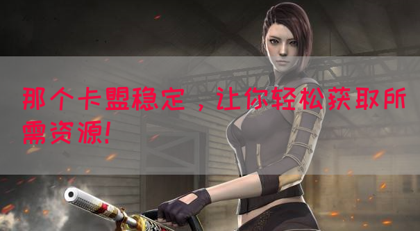那个卡盟稳定，让你轻松获取所需资源！