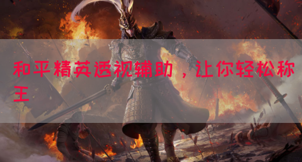 和平精英透视辅助，让你轻松称王