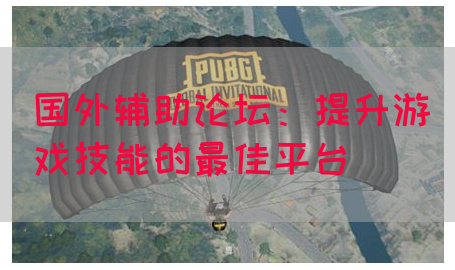 国外辅助论坛：提升游戏技能的最佳平台