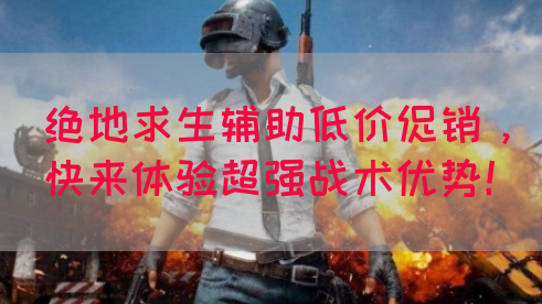 绝地求生辅助低价促销，快来体验超强战术优势！