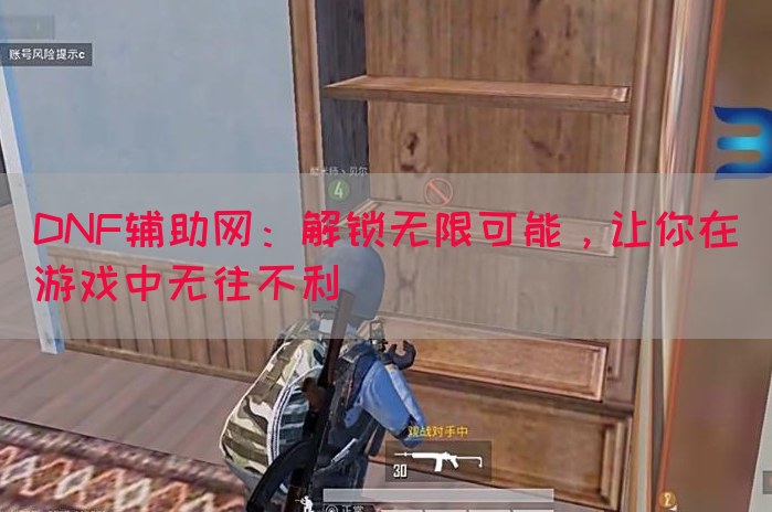 DNF辅助网：解锁无限可能，让你在游戏中无往不利