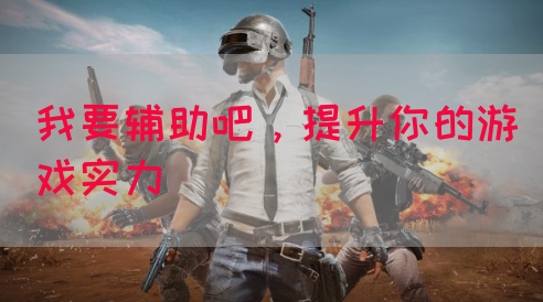 我要辅助吧，提升你的游戏实力(图1)