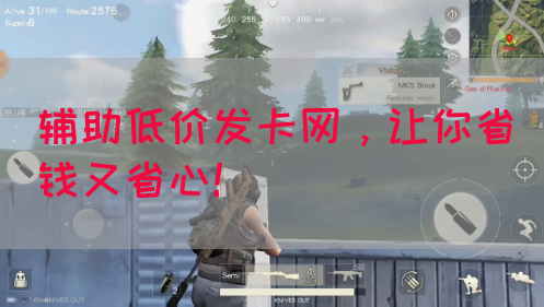 辅助低价发卡网，让你省钱又省心！