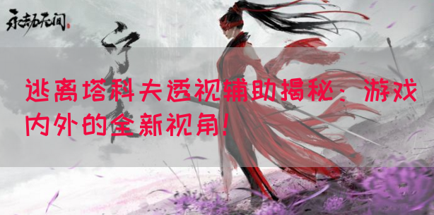 逃离塔科夫透视辅助揭秘：游戏内外的全新视角！(图1)