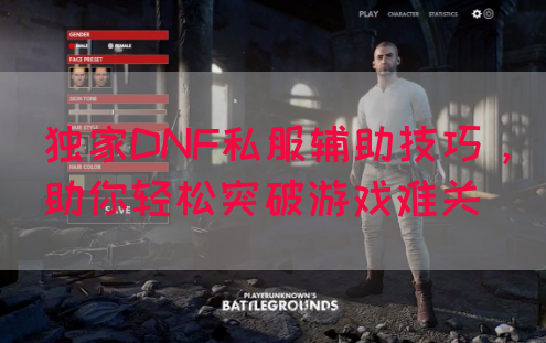 独家DNF私服辅助技巧，助你轻松突破游戏难关(图1)