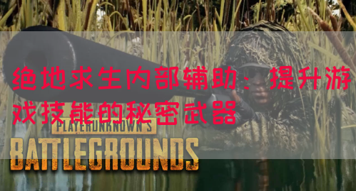 绝地求生内部辅助：提升游戏技能的秘密武器
