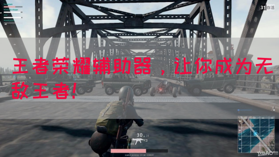 王者荣耀辅助器，让你成为无敌王者！