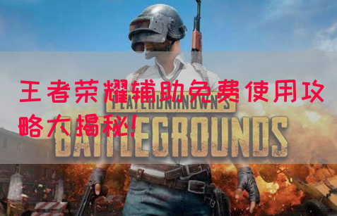 王者荣耀辅助免费使用攻略大揭秘！