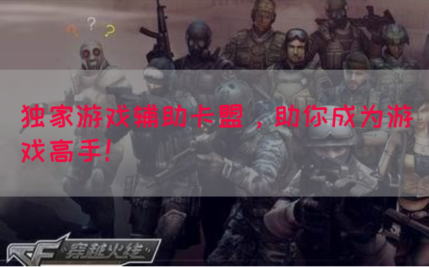 独家游戏辅助卡盟，助你成为游戏高手！