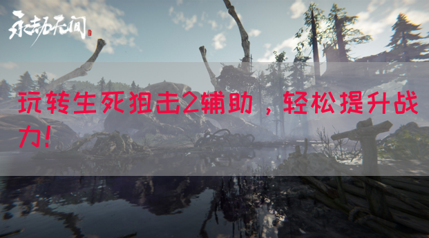 玩转生死狙击2辅助，轻松提升战力！