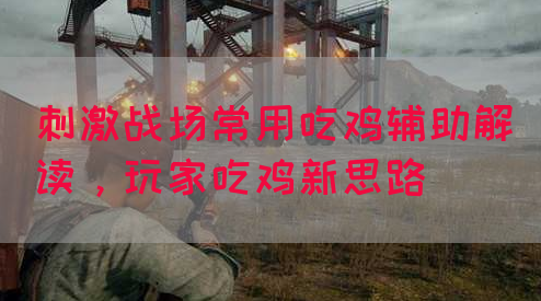 刺激战场常用吃鸡辅助解读，玩家吃鸡新思路