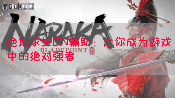 绝地求生CN辅助：让你成为游戏中的绝对强者