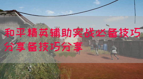 和平精英辅助实战必备技巧分享备技巧分享
