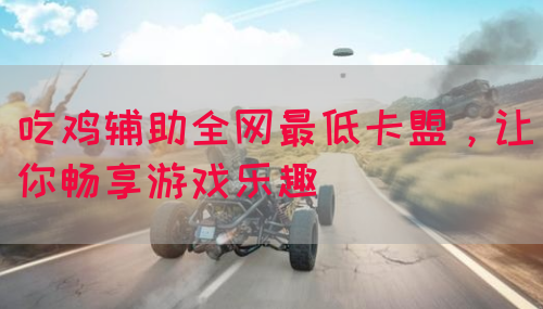 吃鸡辅助全网最低卡盟，让你畅享游戏乐趣