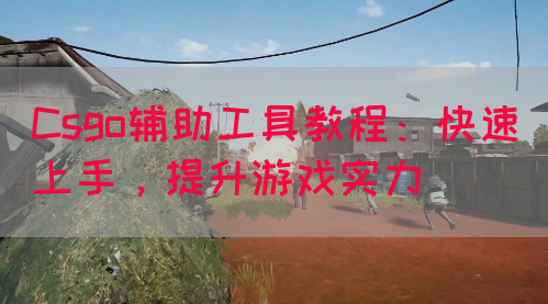 Csgo辅助工具教程：快速上手，提升游戏实力