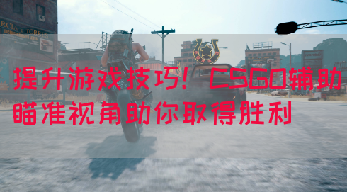 提升游戏技巧！CSGO辅助瞄准视角助你取得胜利