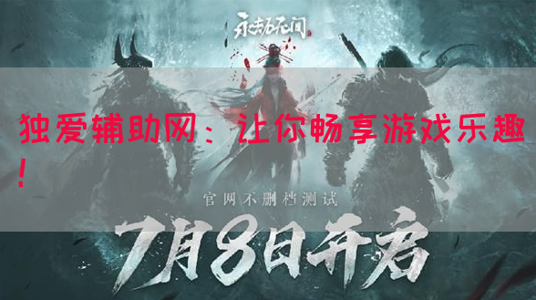 独爱辅助网：让你畅享游戏乐趣！