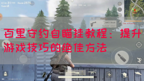百里守约自瞄挂教程：提升游戏技巧的绝佳方法