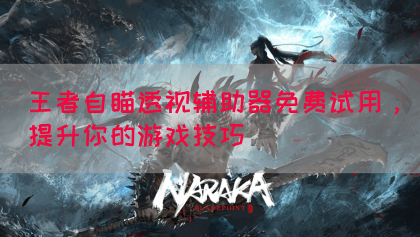 王者自瞄透视辅助器免费试用，提升你的游戏技巧