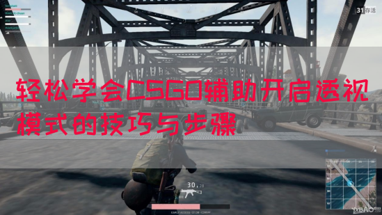 轻松学会CSGO辅助开启透视模式的技巧与步骤