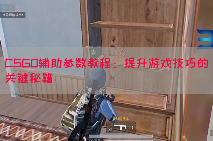 CSGO辅助参数教程：提升游戏技巧的关键秘籍
