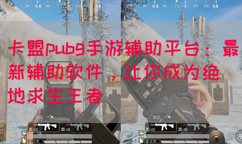 卡盟pubg手游辅助平台：最新辅助软件，让你成为绝地求生王者