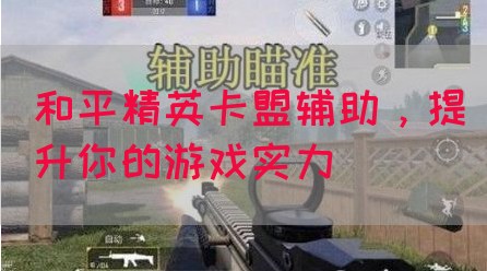 和平精英卡盟辅助，提升你的游戏实力