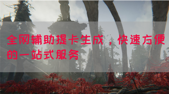 全网辅助提卡生成，快速方便的一站式服务