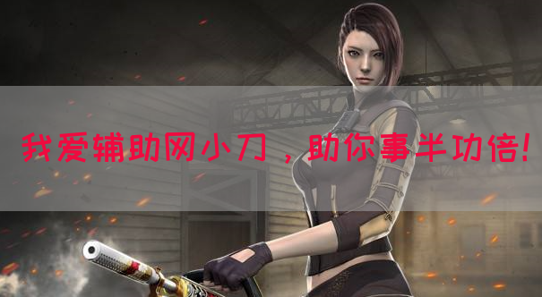 我爱辅助网小刀，助你事半功倍！