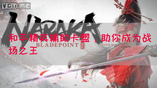 和平精英辅助卡盟，助你成为战场之王