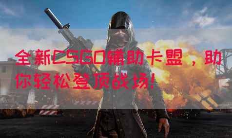 全新CSGO辅助卡盟，助你轻松登顶战场！
