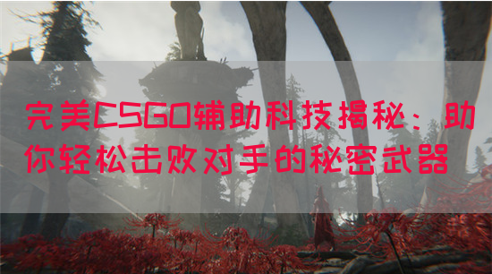 完美CSGO辅助科技揭秘：助你轻松击败对手的秘密武器