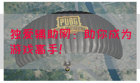 独爱辅助网：助你成为游戏高手！
