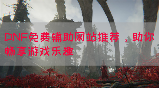 DNF免费辅助网站推荐，助你畅享游戏乐趣