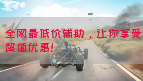 全网最低价辅助，让你享受超值优惠！