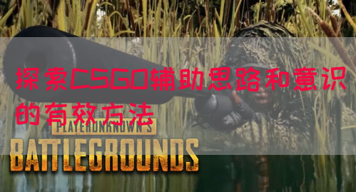 探索CSGO辅助思路和意识的有效方法