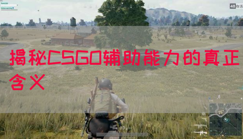揭秘CSGO辅助能力的真正含义
