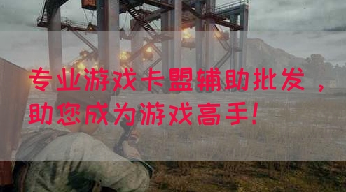 专业游戏卡盟辅助批发，助您成为游戏高手！