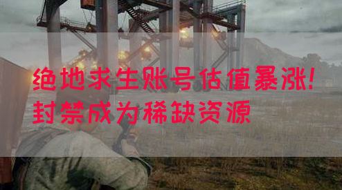 绝地求生账号估值暴涨！封禁成为稀缺资源