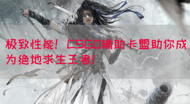 极致性能！CSGO辅助卡盟助你成为绝地求生王者！