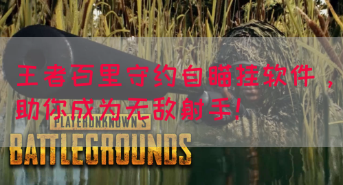 王者百里守约自瞄挂软件，助你成为无敌射手！