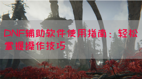 DNF辅助软件使用指南：轻松掌握操作技巧