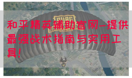 和平精英辅助官网-提供最强战术指南与实用工具！