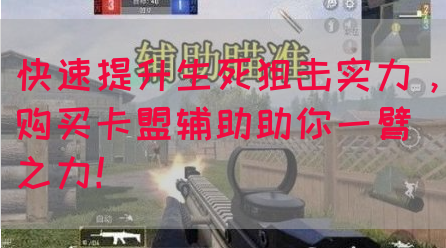 快速提升生死狙击实力，购买卡盟辅助助你一臂之力！