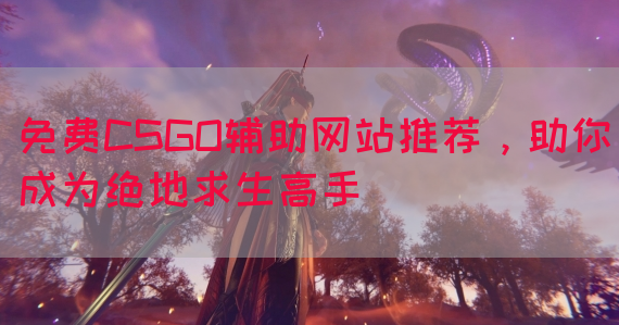 免费CSGO辅助网站推荐，助你成为绝地求生高手